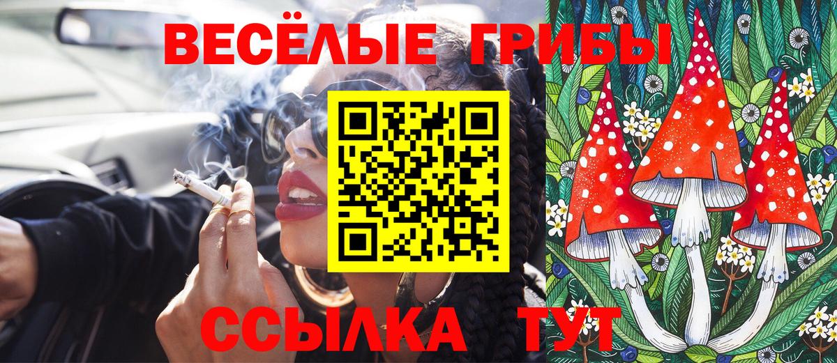 Кумертау  Галлюциногенные грибы прущие грибы  Вход с VPN  Галлюциногенные грибы MAGIC MUSHROOMS 